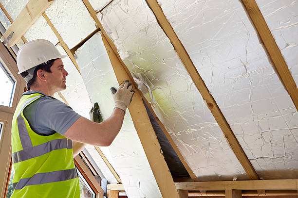 Best Insulation Maintenance and Repair in Pipestone, MN